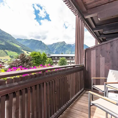 卡默兰德尔酒店 4* Neukirchen am Großvenediger